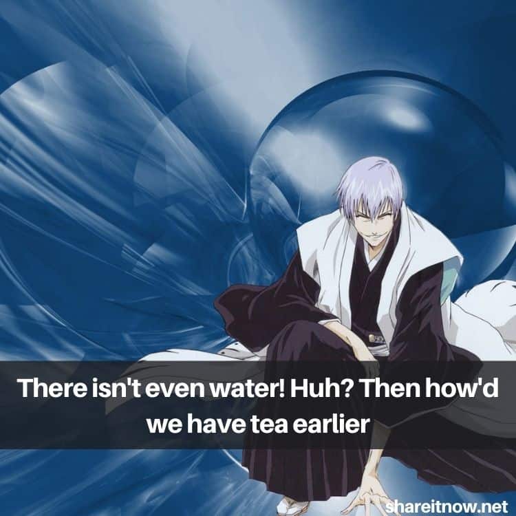 Ichimaru Gin quotes