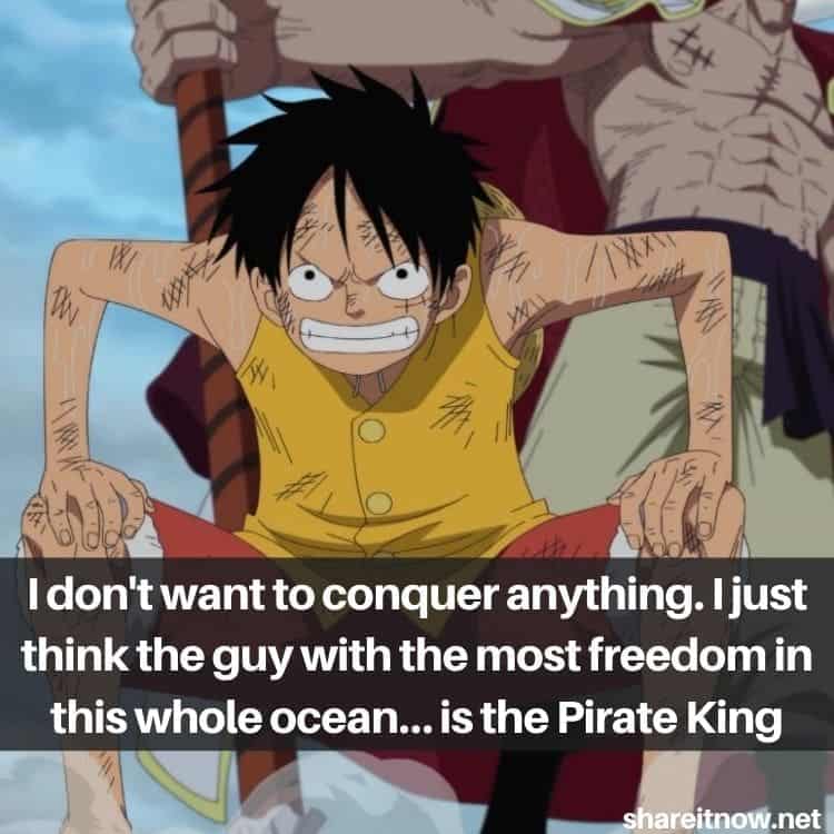 Luffy quotes