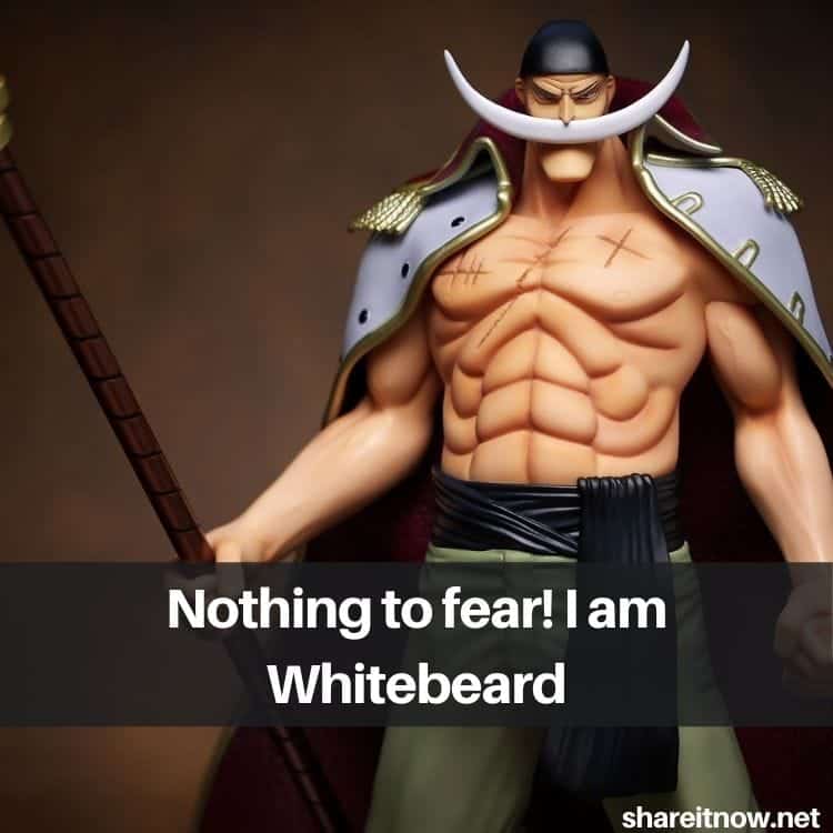 whitebeard quotes